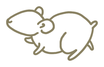 Line-art skica křečka — původní tahy tužkou před finálním kolorováním.